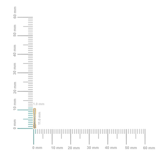 29877-2.jpg